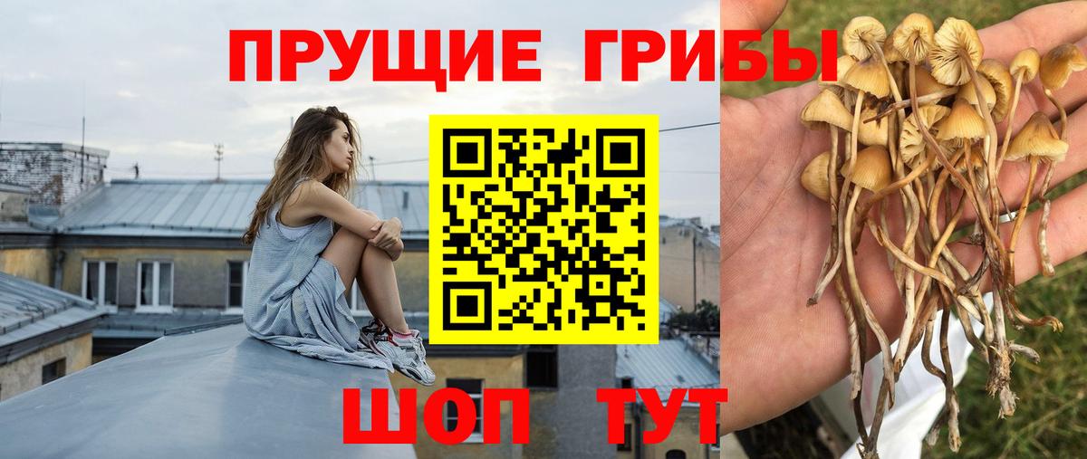 Псилоцибиновые грибы Magic Shrooms  Вход с VPN  Муравленко 